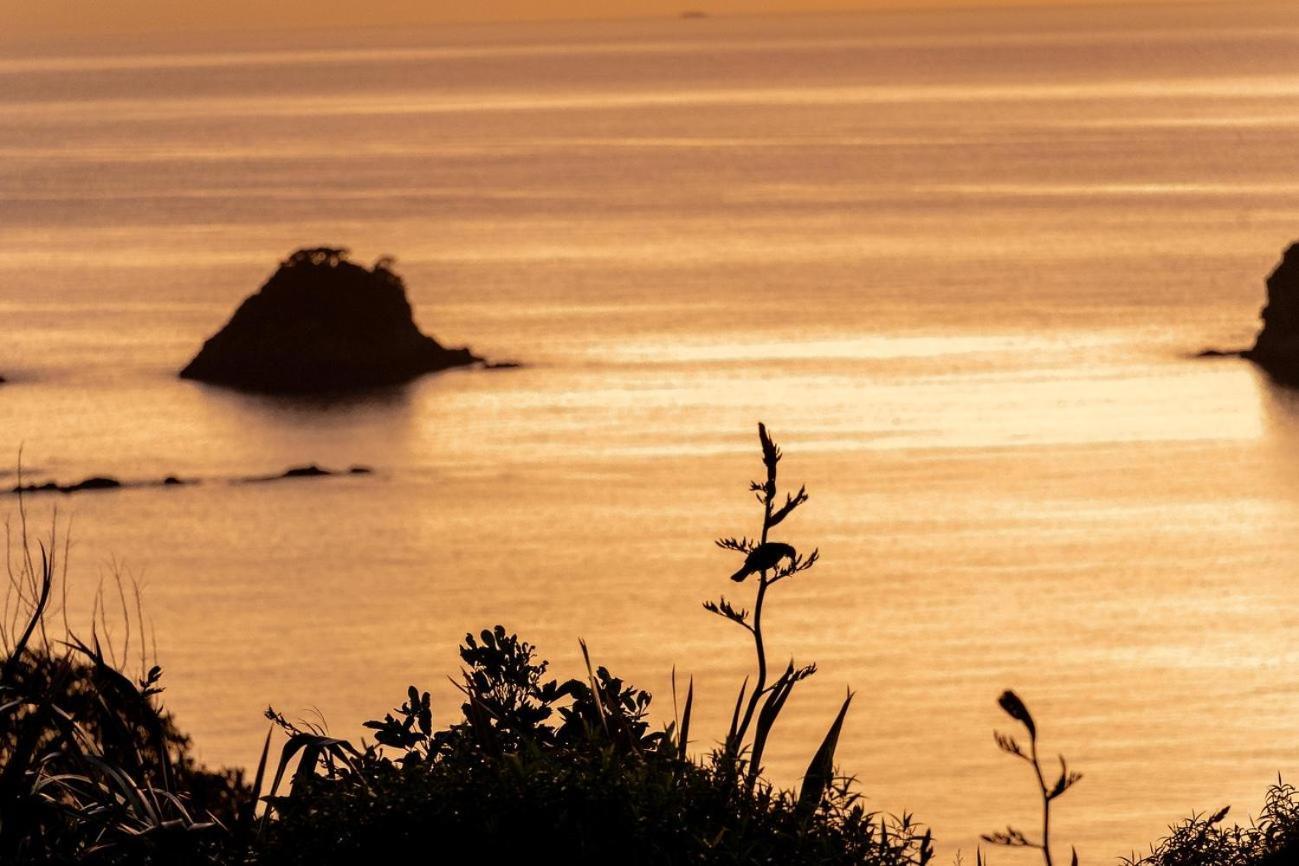 Cathedral Cove And Sunrise Leilighet Hahei Eksteriør bilde